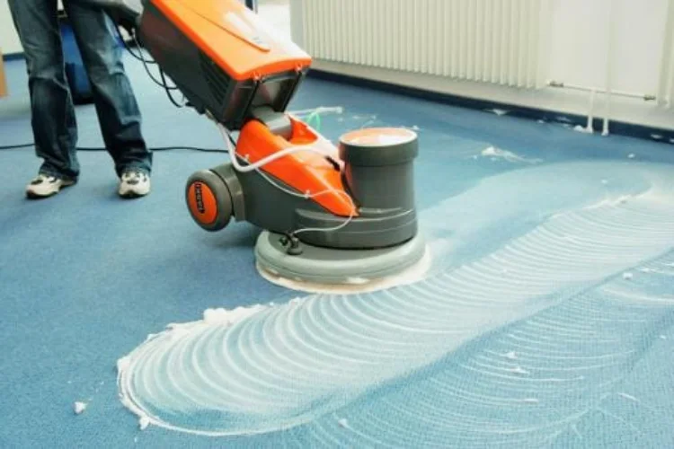 Deep Carpet Cleaning The Ultimate Guide for Homes